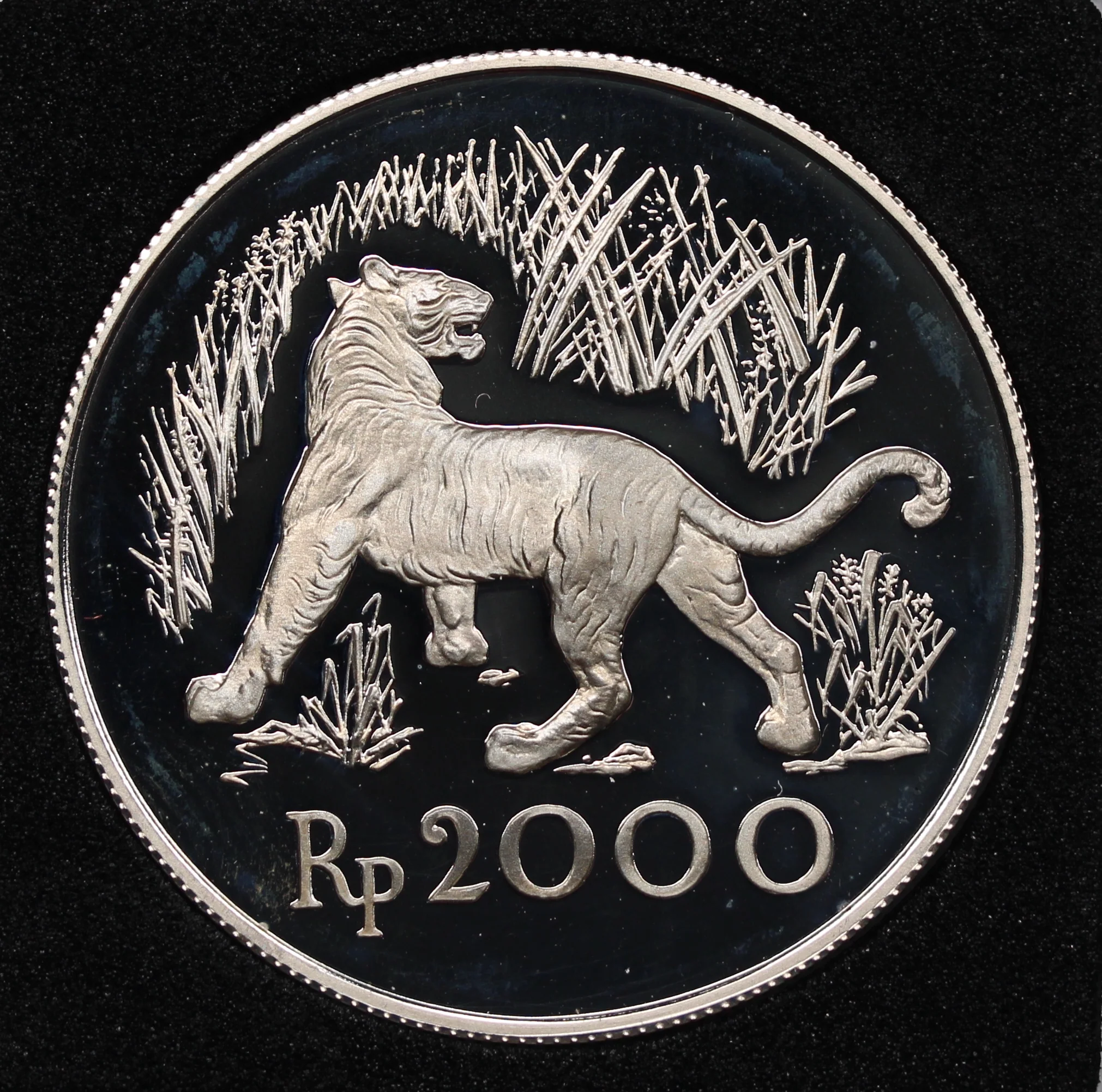 1974 Indonesia 2000 Rupiah Javan Tiger Silver Coin