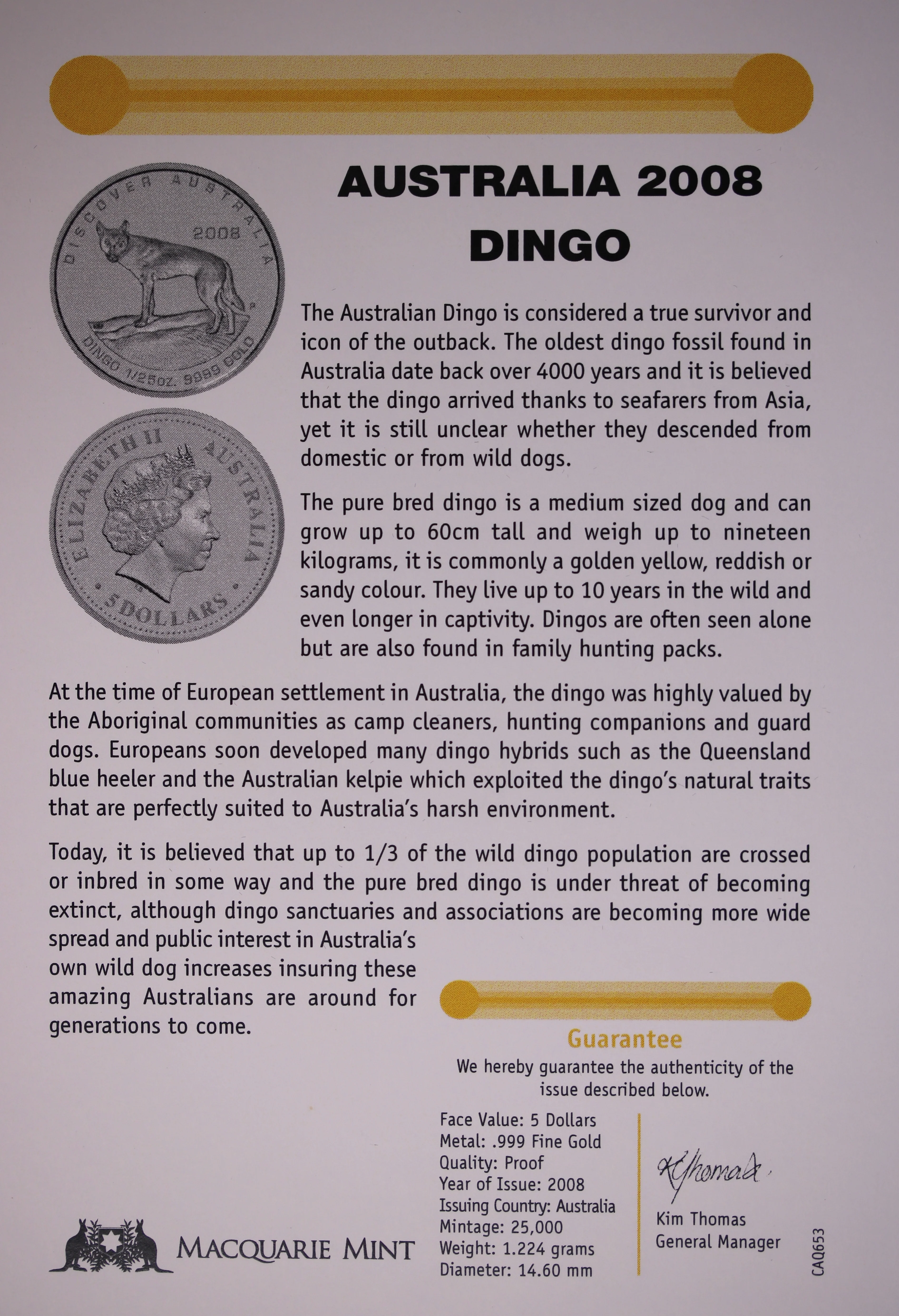 2008 Dingo 1/25oz Gold Proof Coin - Image 3