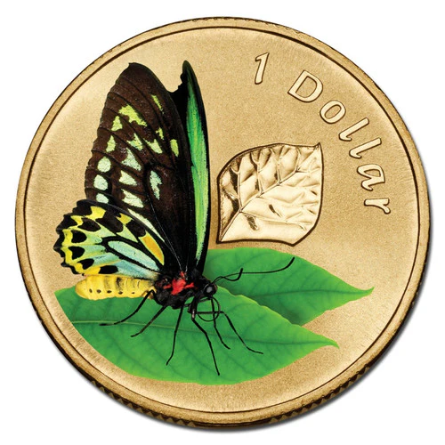 2011 $1 Air Series Cairns Birdwing Butterfly Coloured Uncirculated Coin in Card - Image 2