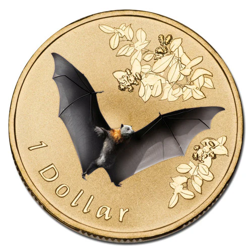 2011 $1 Air Series Grey Headed Flying Fox Coloured Uncirculated Coin in Card - Image 2