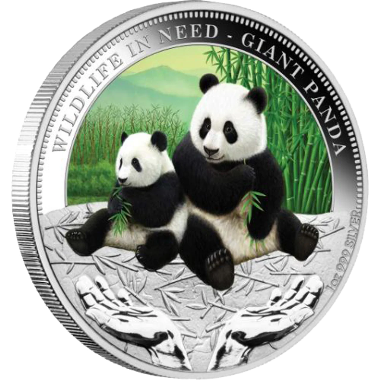 2011 $1 Wildlife In Need Giant Panda 1oz Silver Coloured Proof Coin