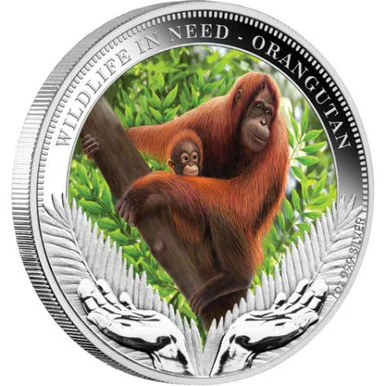 2011 $1 Wildlife In Need Orangutan 1oz Silver Coloured Proof Coin