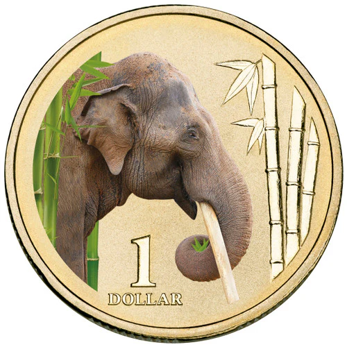 2012 $1 Animals of The Zoo Asian Elephant Coloured Uncirculated Coin on Card - Image 2