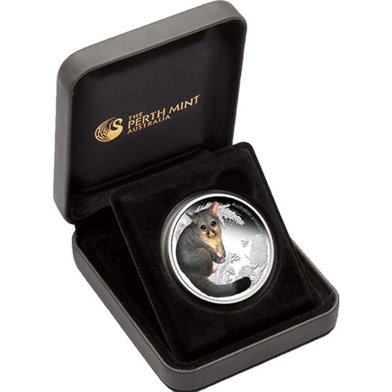 2013 Bush Babies II Possum 1/2oz Silver Proof Coin - Image 3
