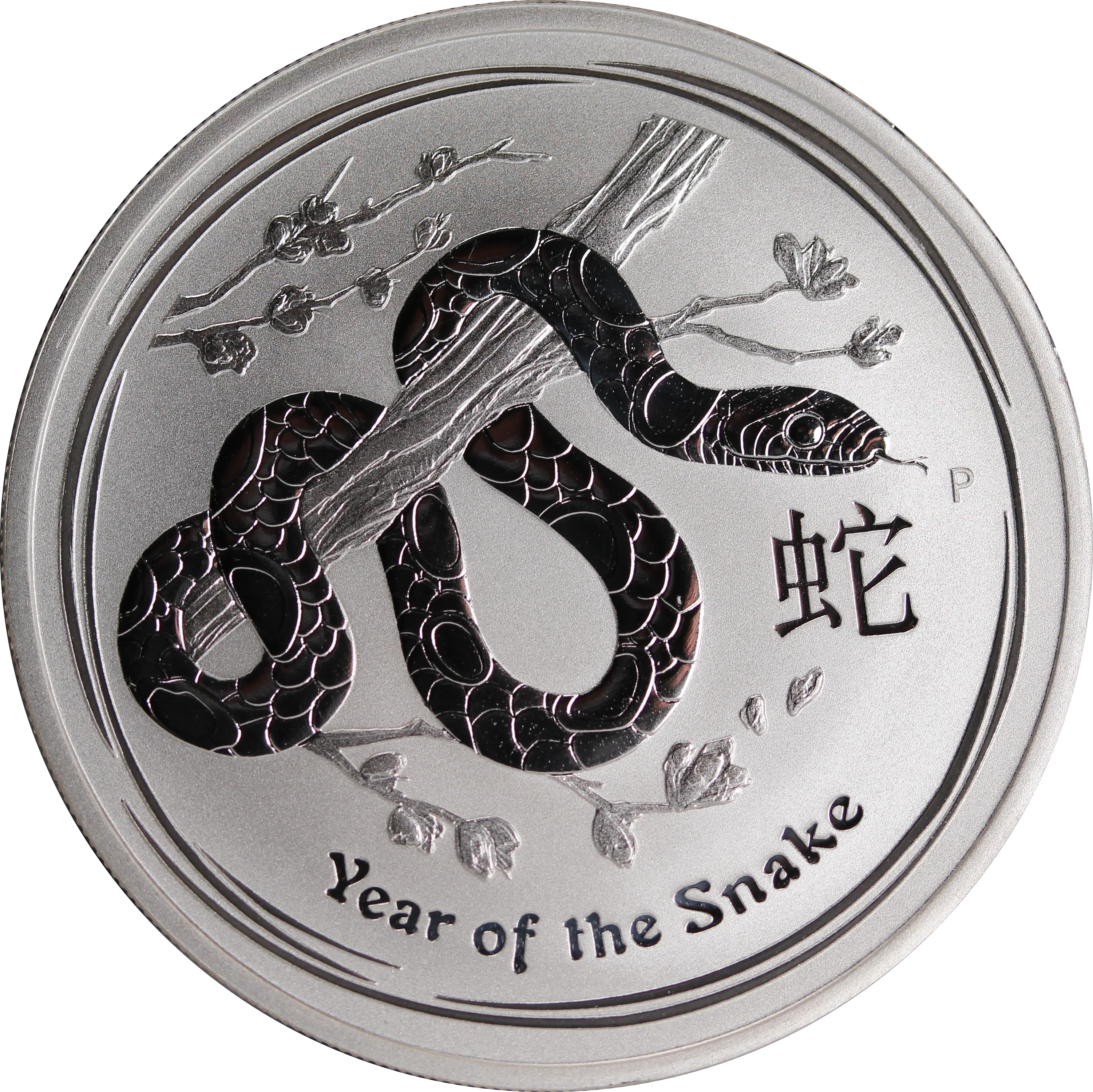 2013 Year of the Snake 1oz Silver Coin
