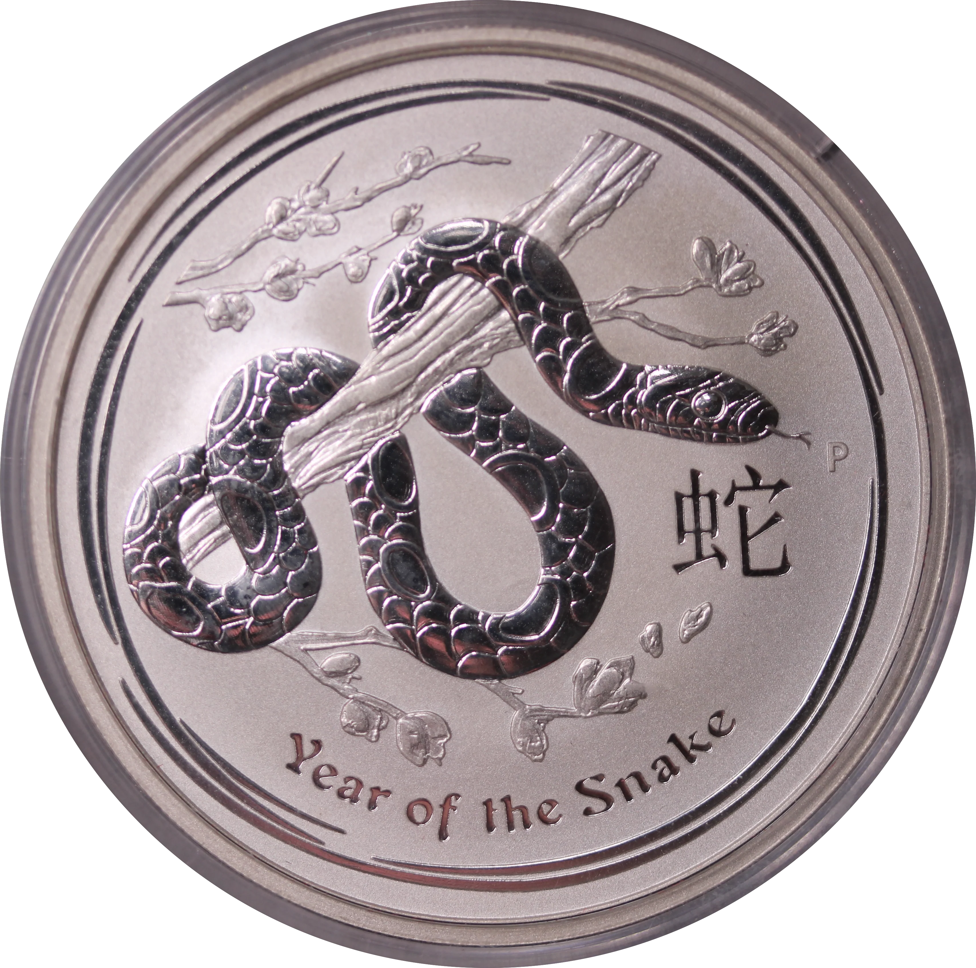 2013 Year of the Snake 2oz Silver Coin