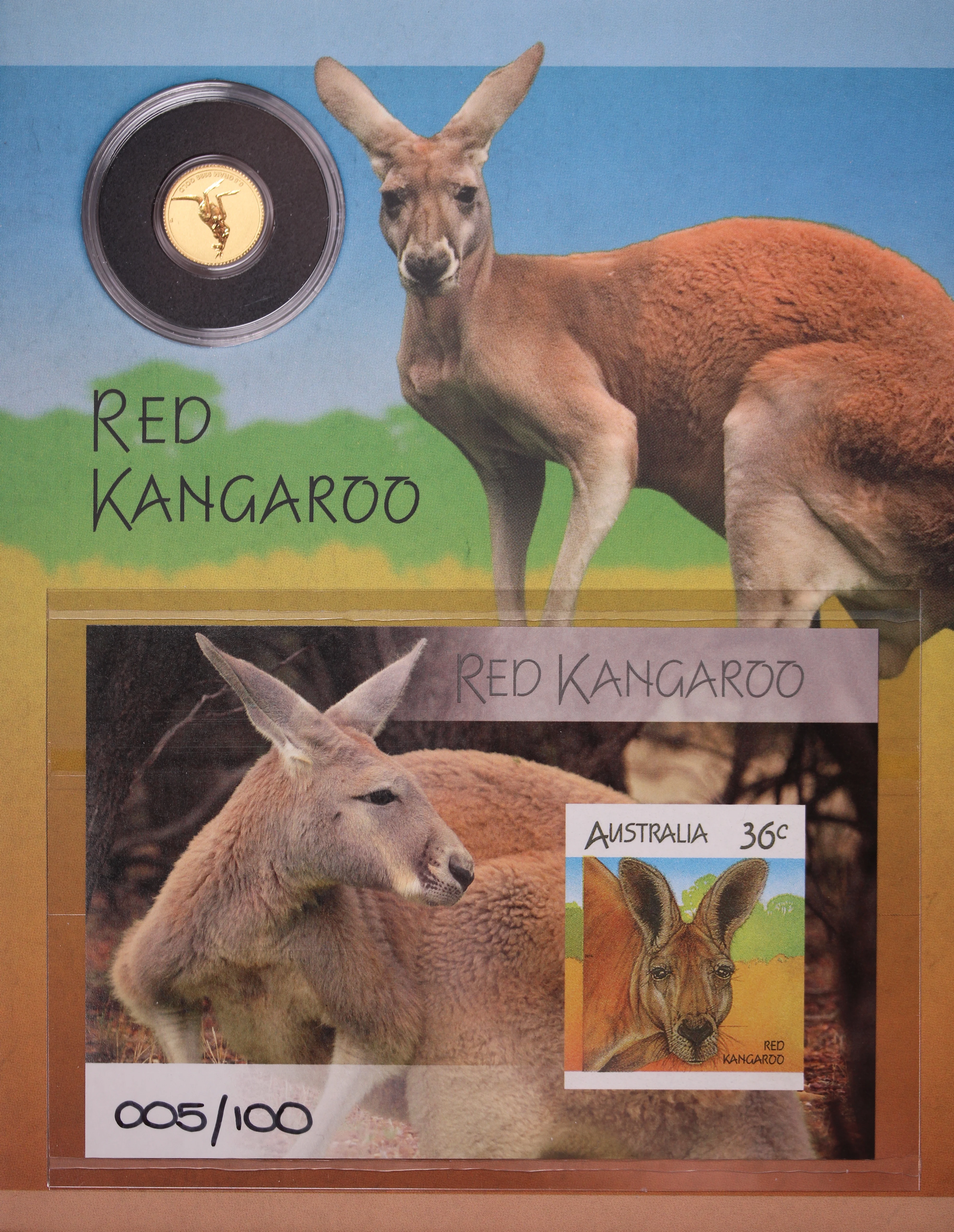 2014 0.5G Gold Red Kangaroo Coin with Minisheet