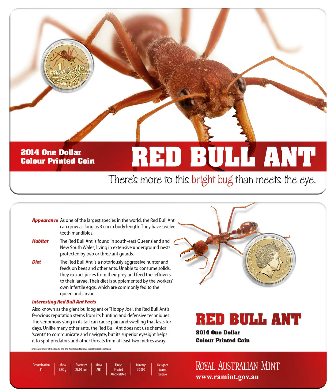 2014 $1 Bright Bug Red Bull Ant Uncirculated Coin