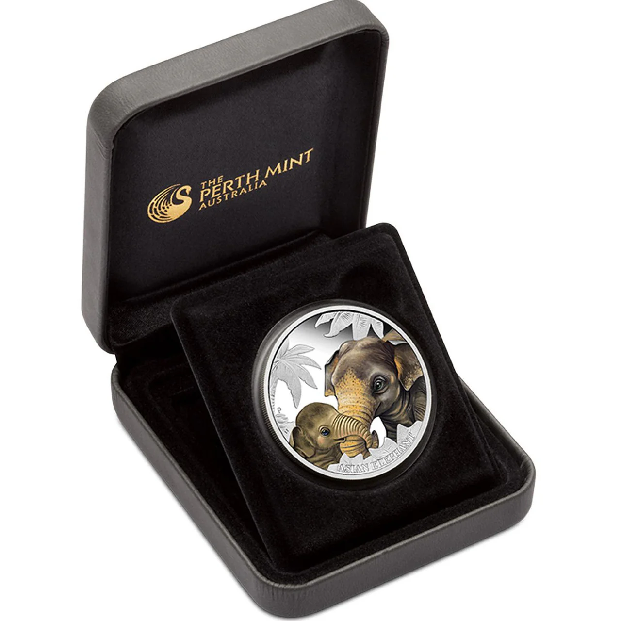 2014 50c Mother's Love Asian Elephant 1/2oz Silver Coloured Proof Coin - Image 3
