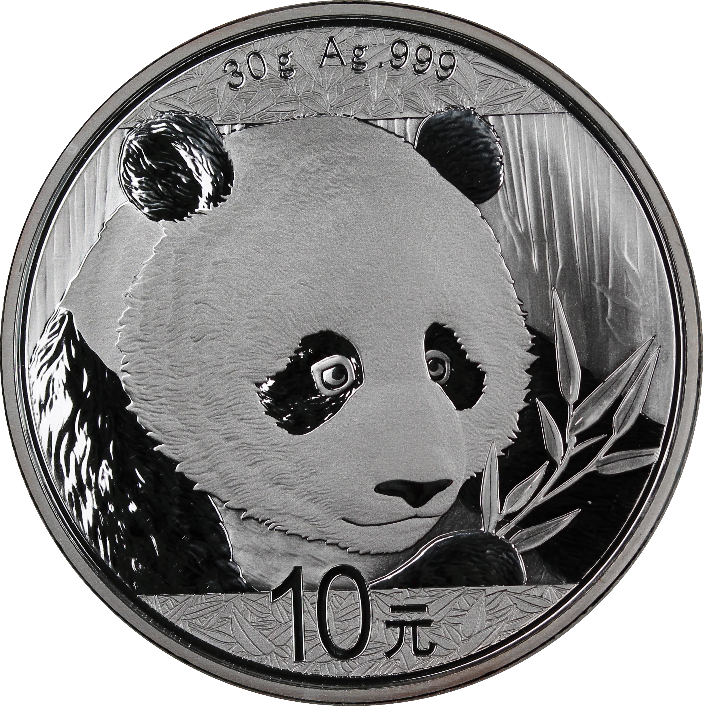 2018 Chinese Panda 10 Yuan 30g Silver Coin