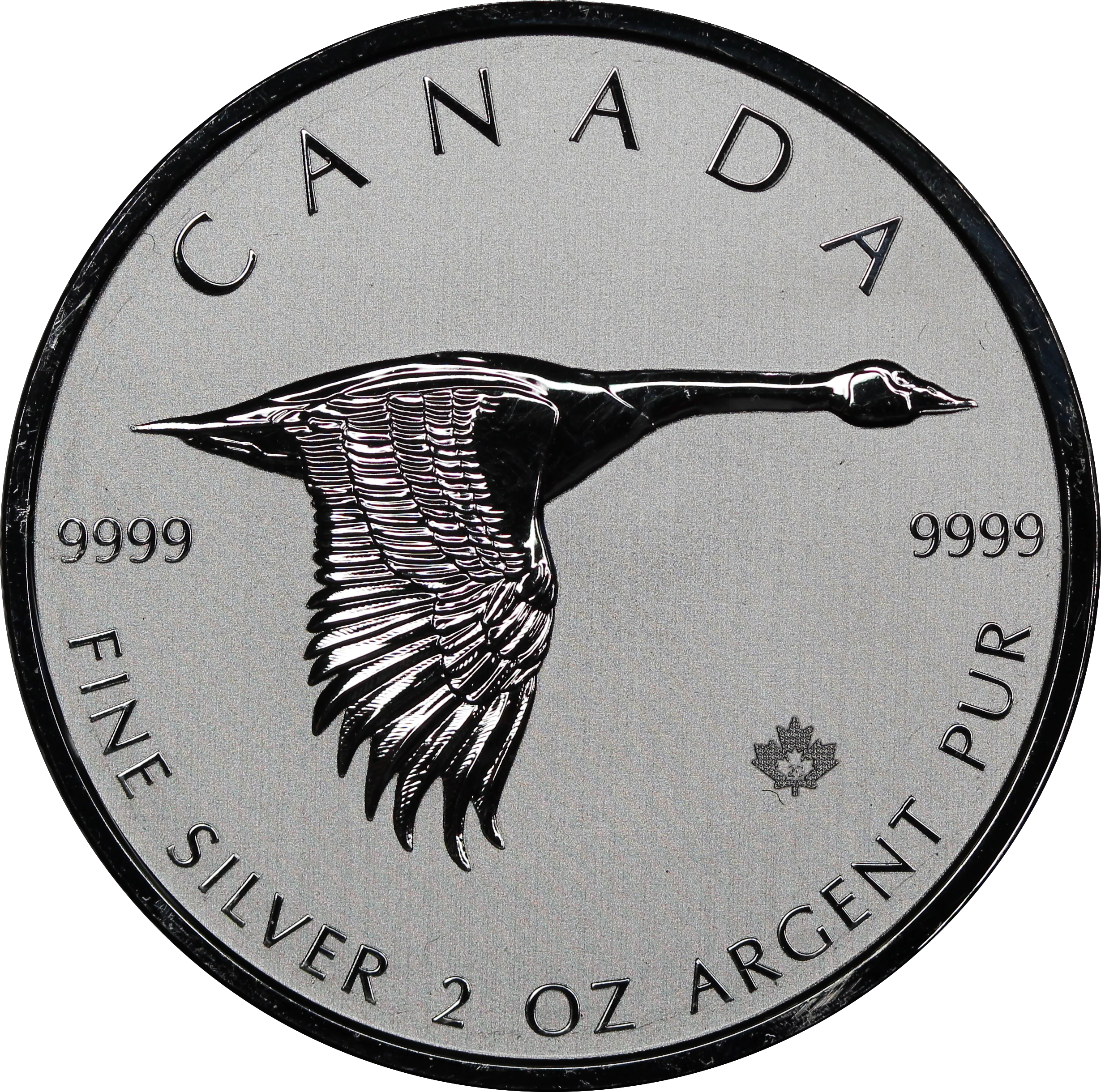 2020 Canada 2oz Silver Goose $10 Coin