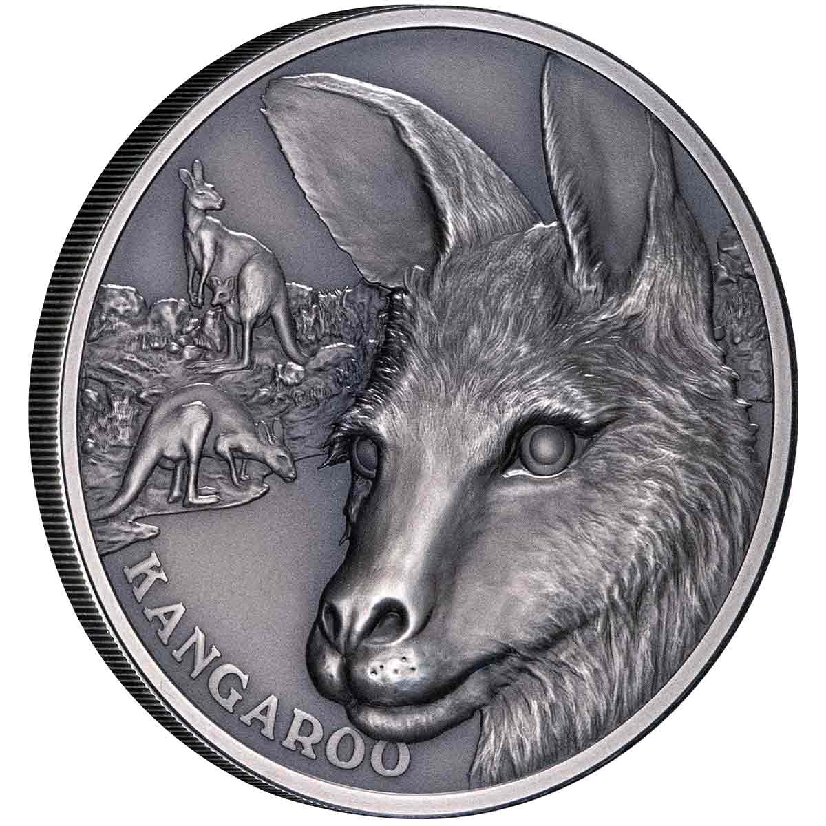 2021 Kangaroo $1 1oz Silver Antique Coin - Image 2