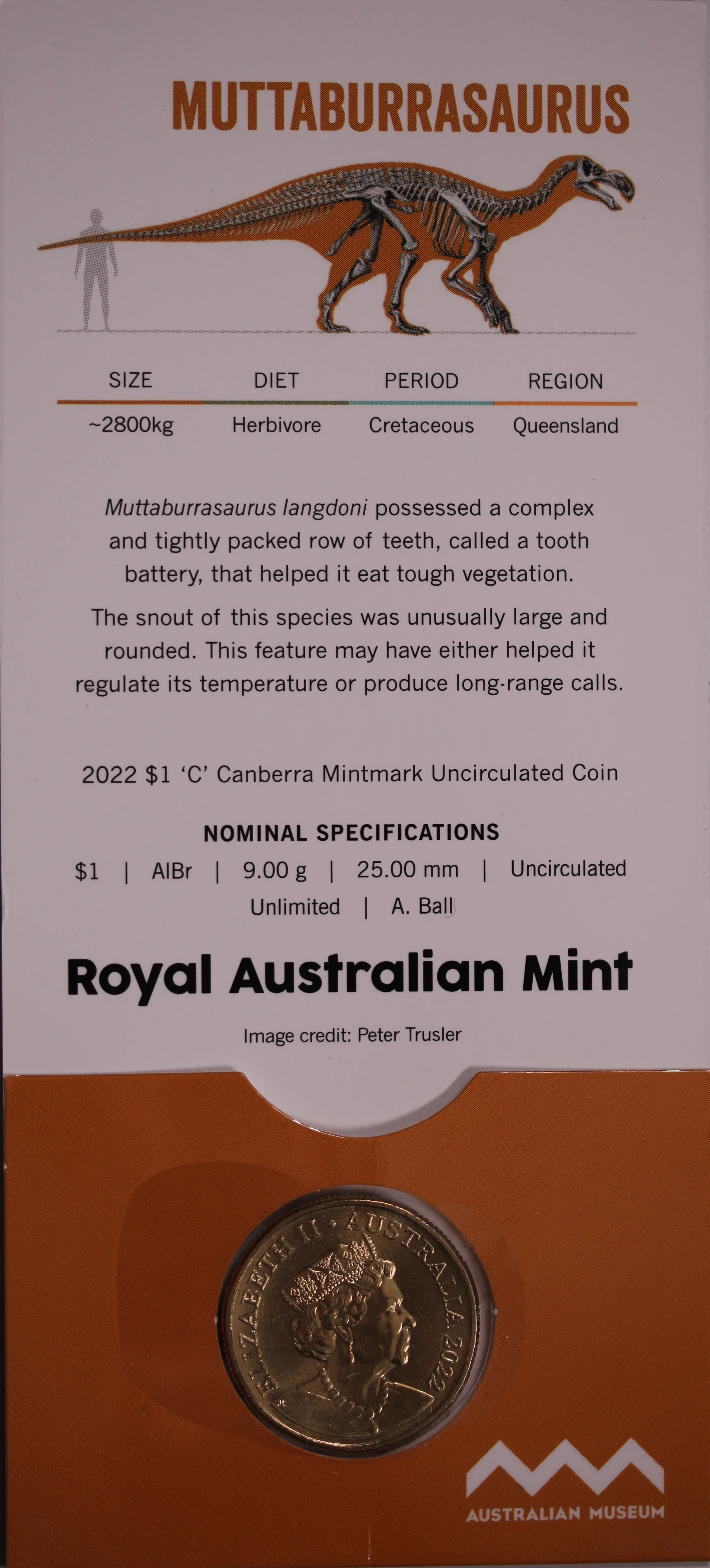 2022 $1 Muttaburrasaurus Dinosaurs Down Under UNC - 'C' Mintmark - Image 2