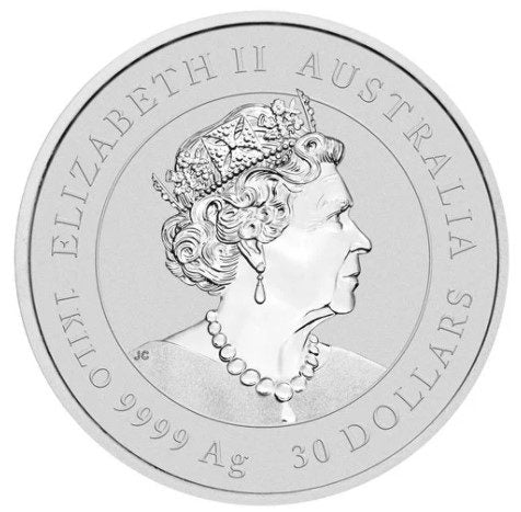 2022 Lunar Year of the Tiger 1 Kilo Silver Coin - Image 2