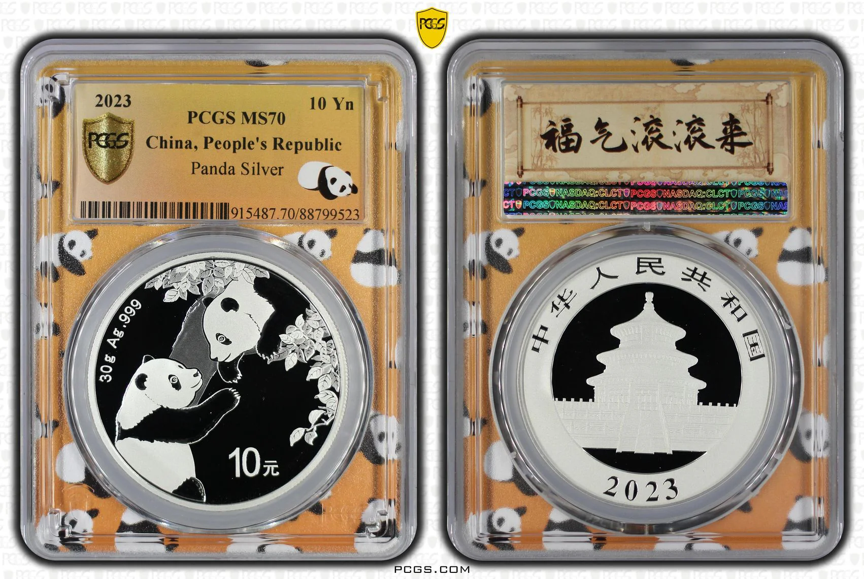 2023 China 10 Yuan 30 gram Silver Panda Coin MS70