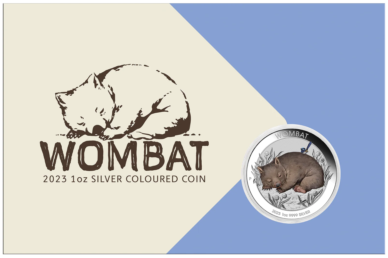2023 Coloured Wombat 1oz Silver Coin in Card