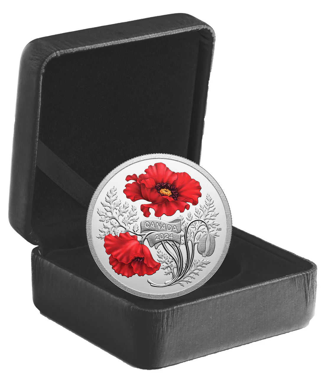2024 $20 Fine Silver Coin - Remembrance Day - Image 3