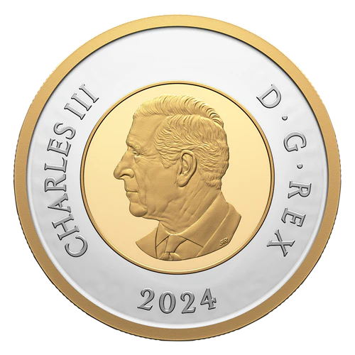 2024 Fine Silver Proof Set - 100th Anniversary of the Royal Canadian Air Force - Image 11