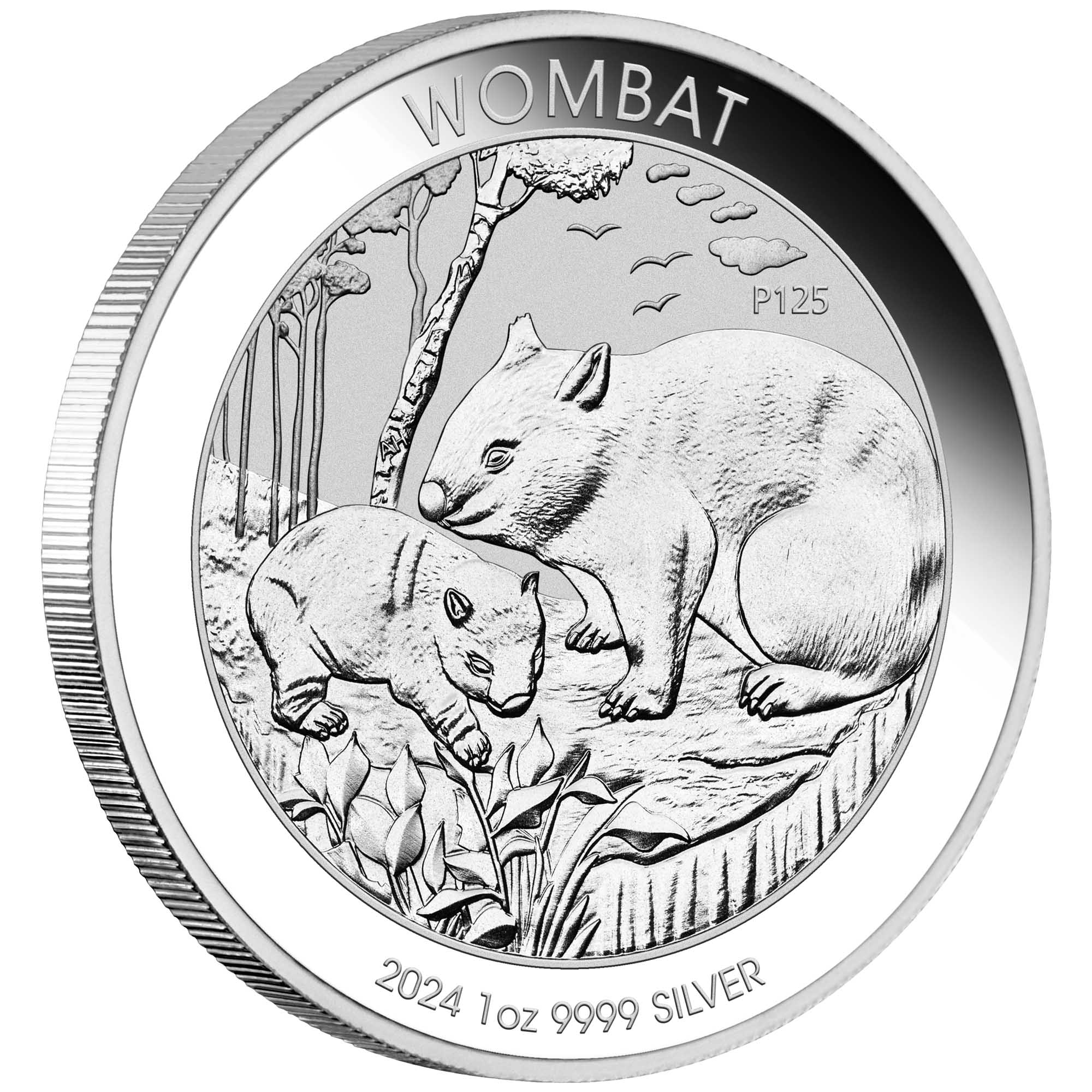 2024 Wombat 1oz Silver Coin