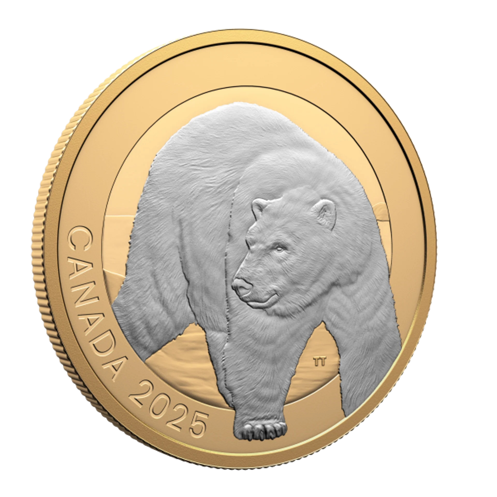 2025 $20 Fine Silver Coin - Animal Portraits: Polar Bear