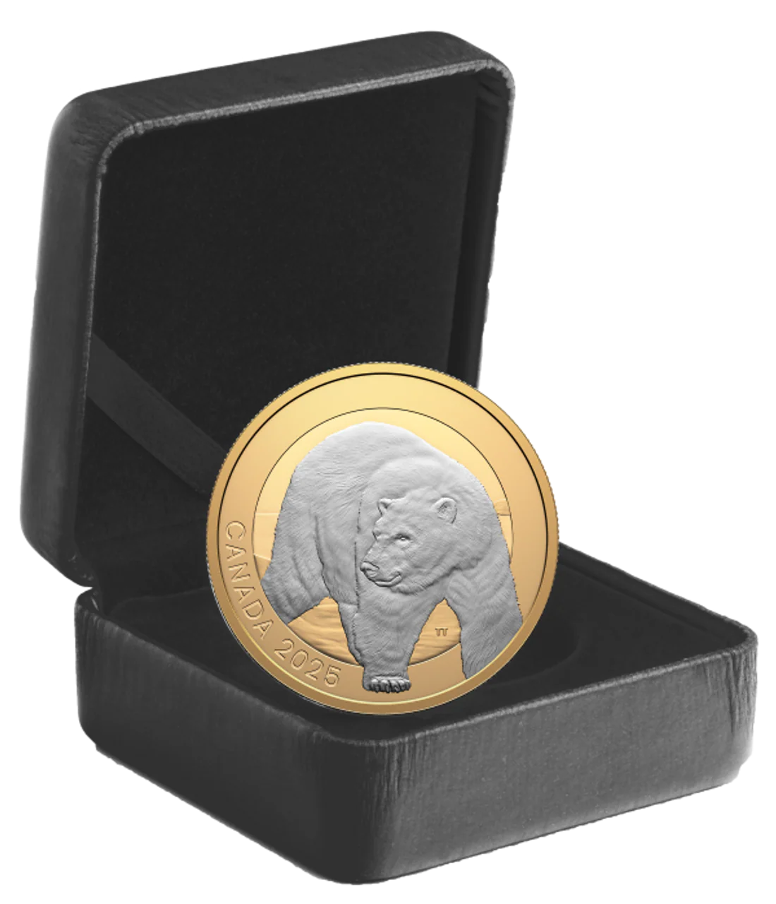 2025 $20 Fine Silver Coin - Animal Portraits: Polar Bear - Image 3