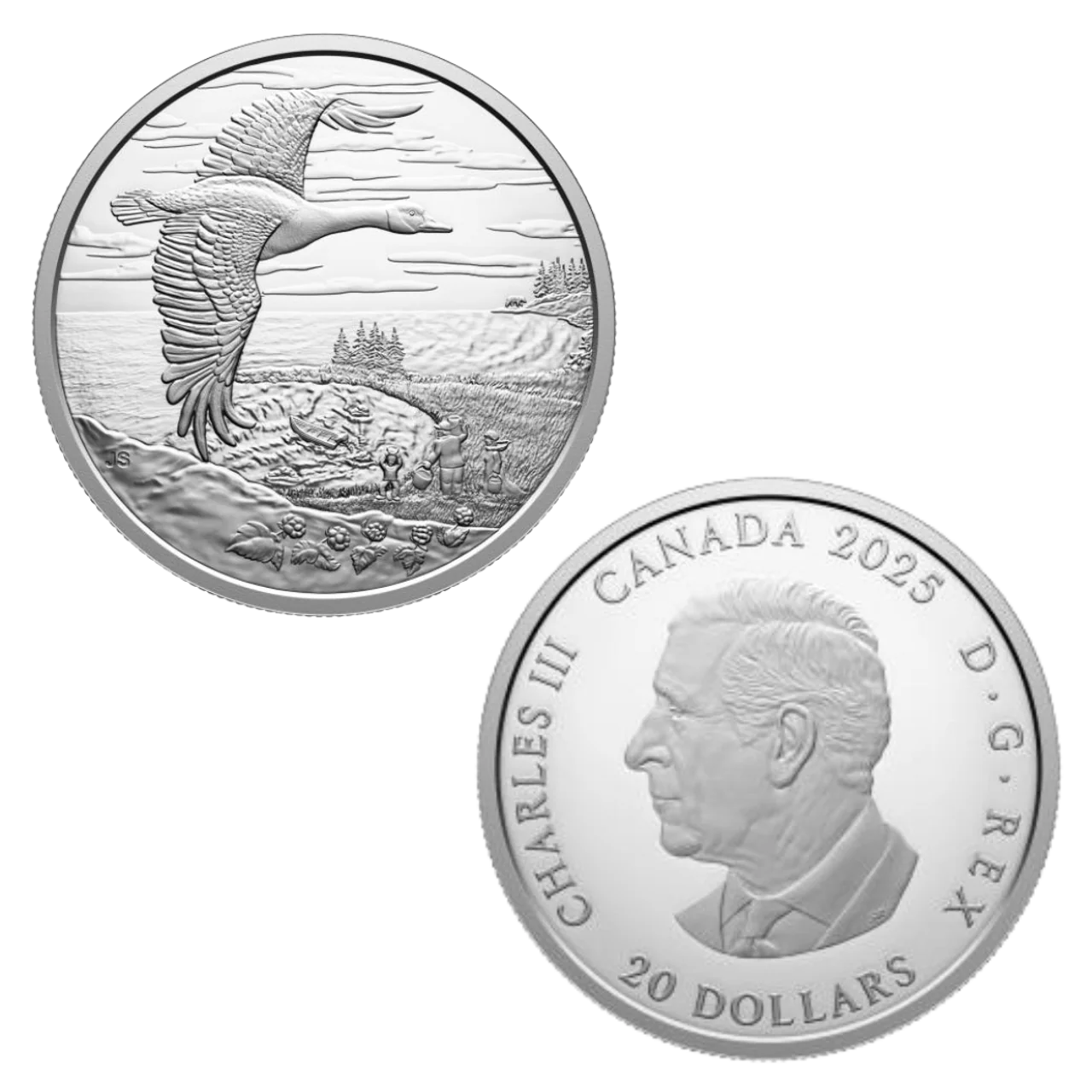 2025 $20 Fine Silver Coin - Interconnected Nature - Image 2