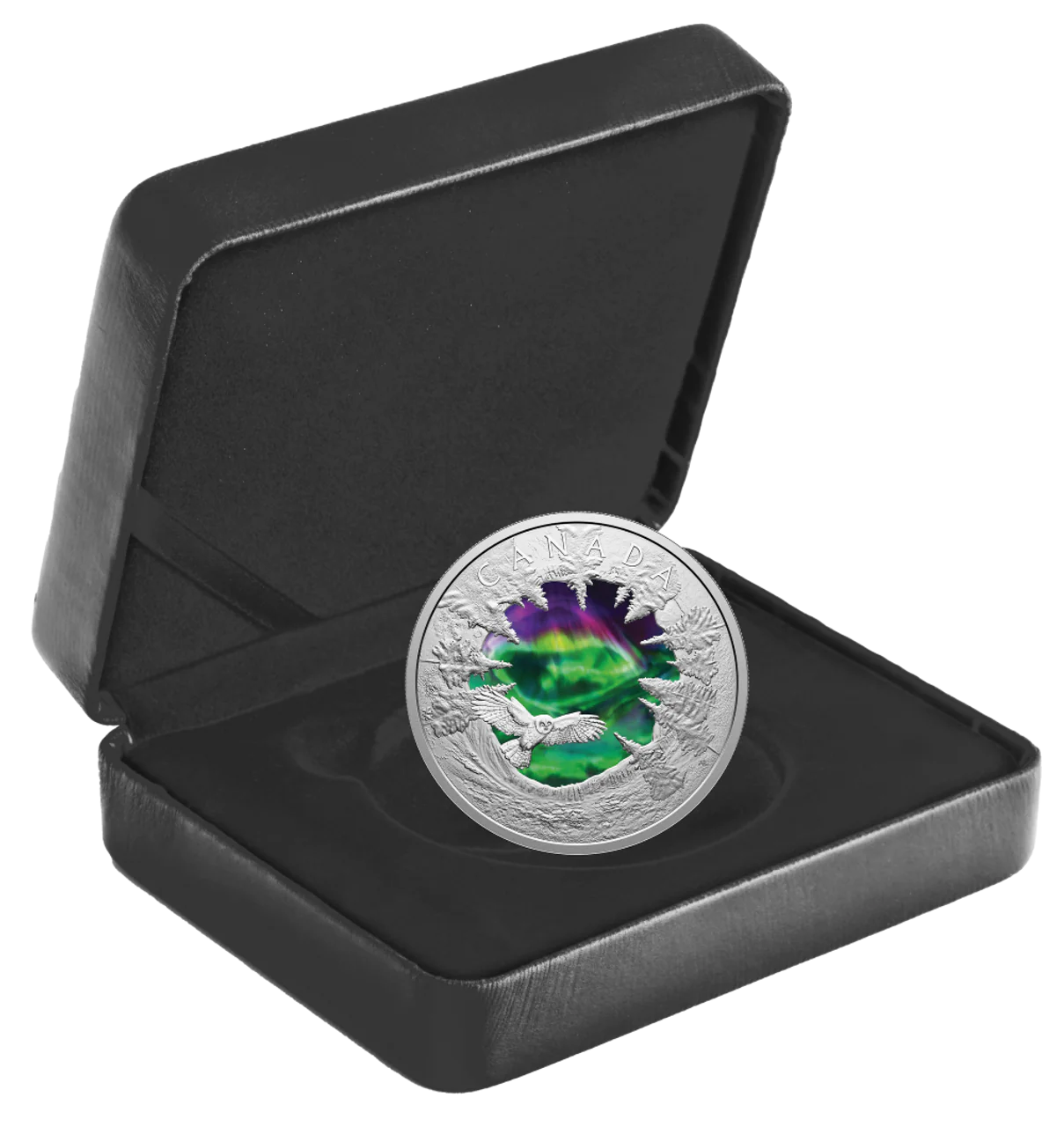 2025 $30 Fine Silver Coin Magic of the Northern Lights - Image 4