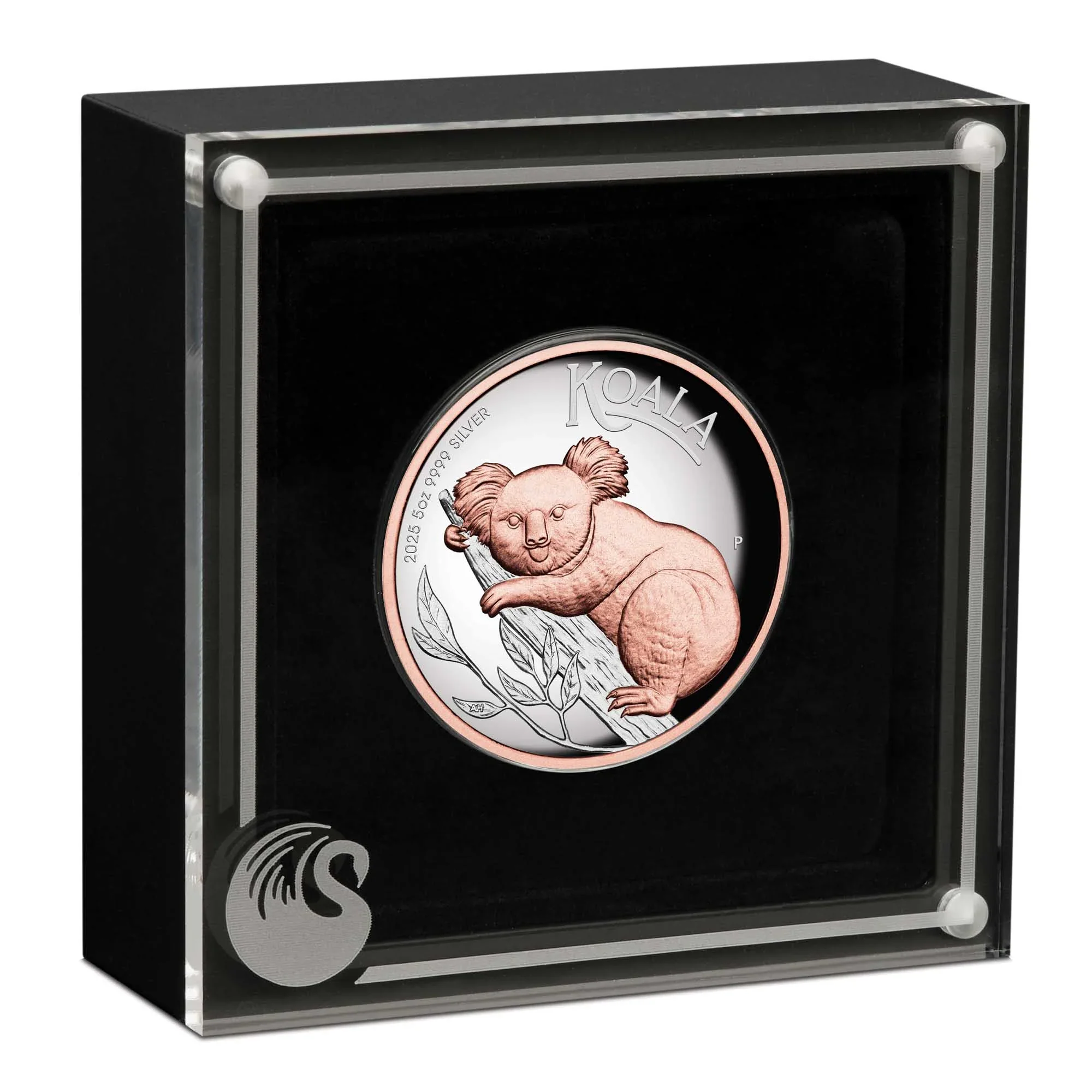 Australian Koala 2025 5oz Silver Proof High Relief Gilded Coin - Image 3
