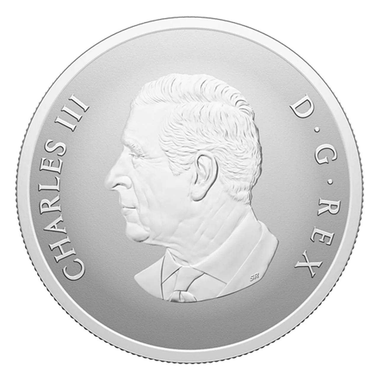 2025 Canada $20 Fine Silver Coin - Remembrance Day - Image 2