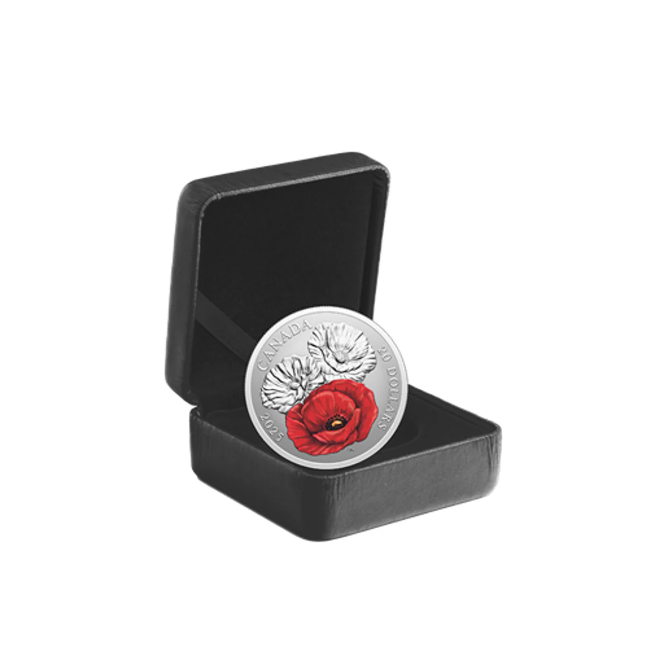 2025 Canada $20 Fine Silver Coin - Remembrance Day - Image 3