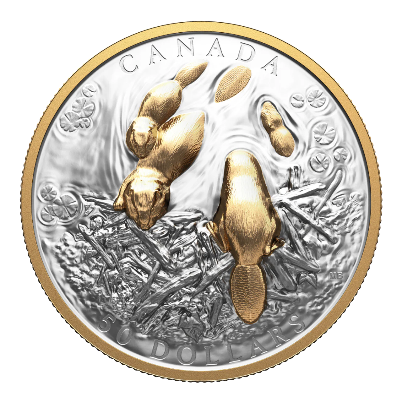 2025 Canada $50 Fine Silver Coin - Canadian Symbol: The Beaver