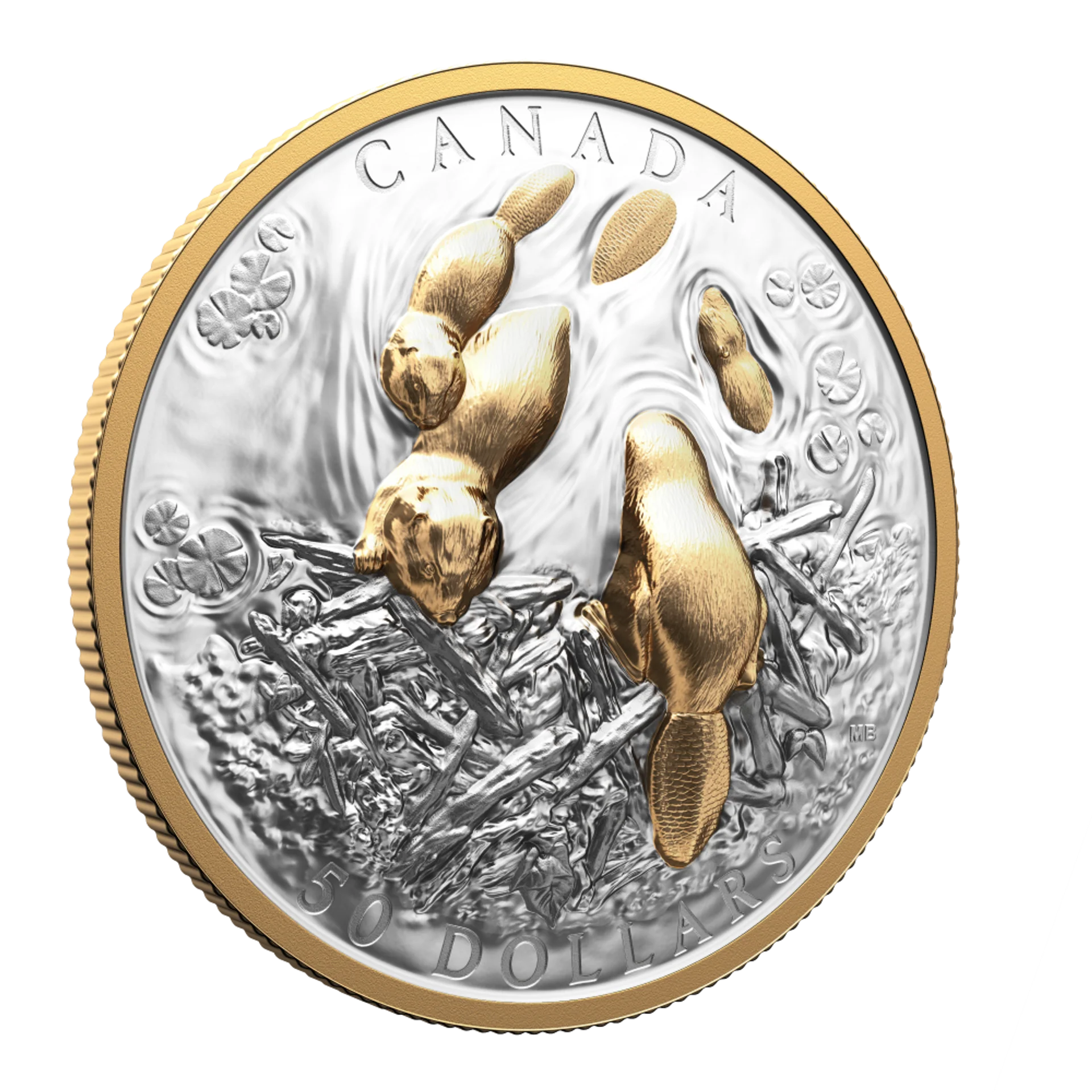 2025 Canada $50 Fine Silver Coin - Canadian Symbol: The Beaver - Image 2
