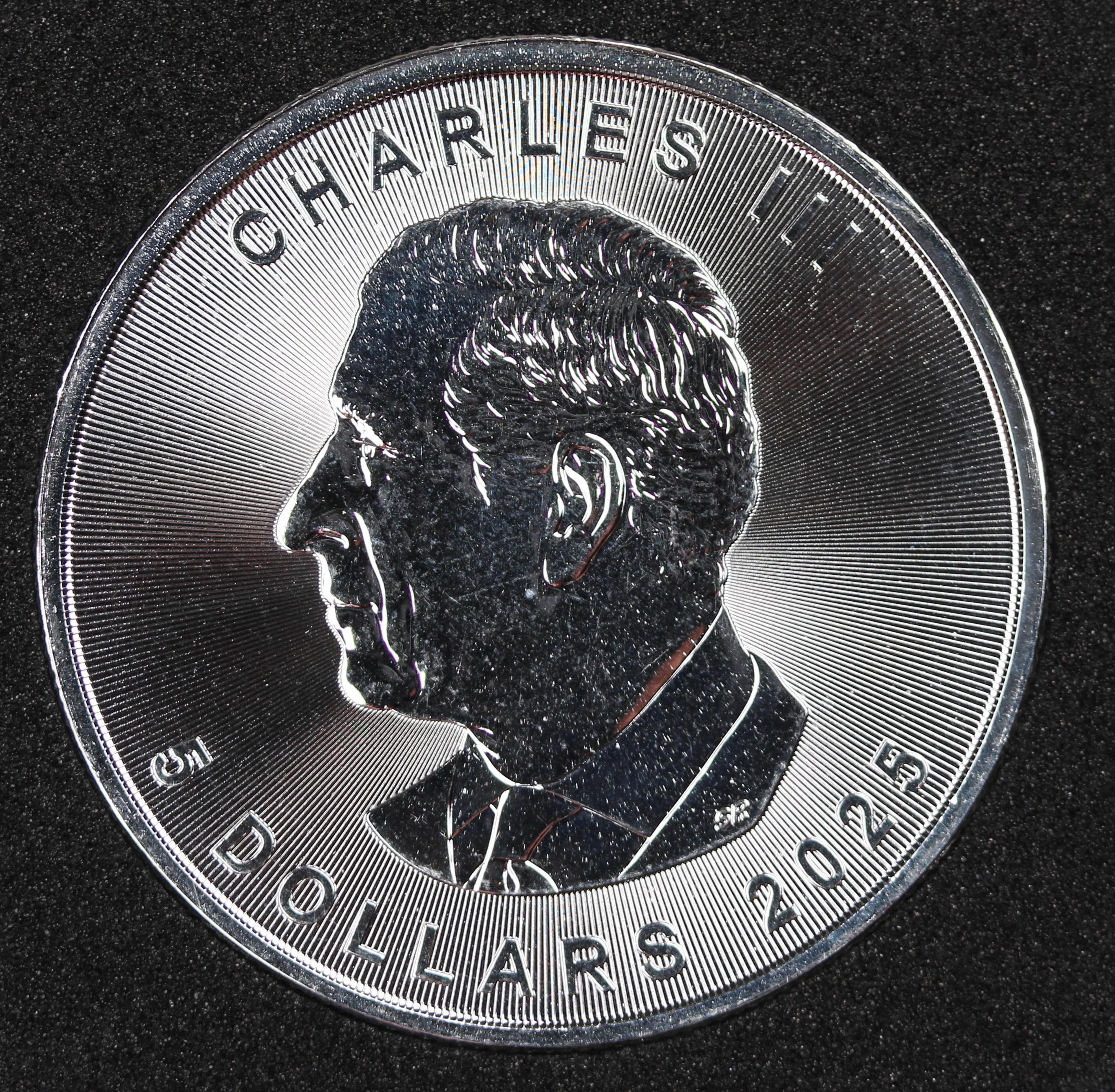 2025 The Queen of Emberfall 1oz Silver Coin - Image 4