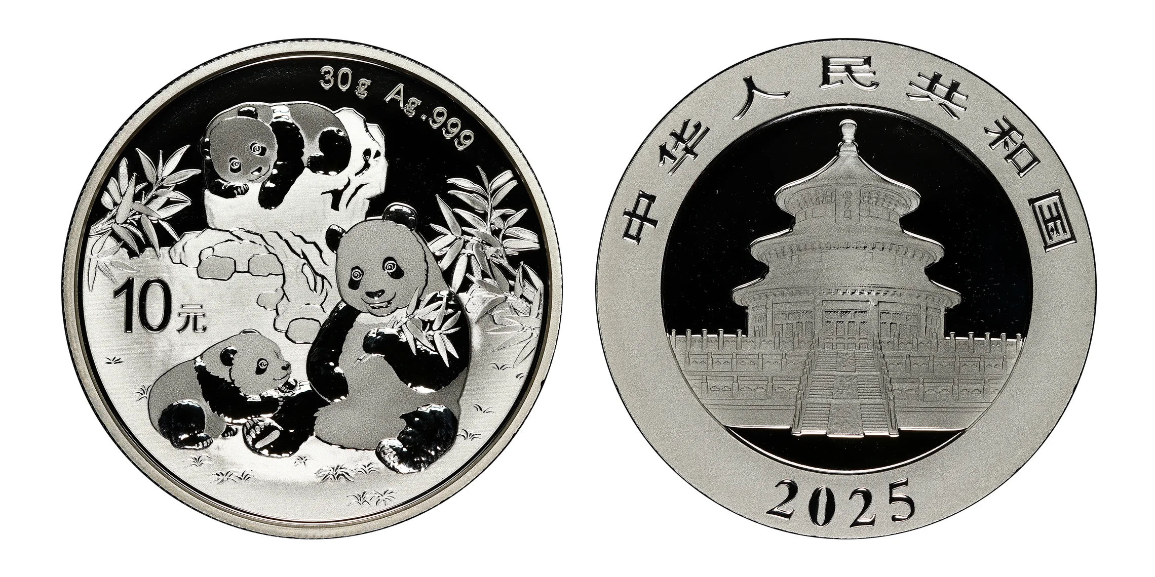 2025 China 10 Yuan 30 gram Silver Panda Coin MS70 First Release