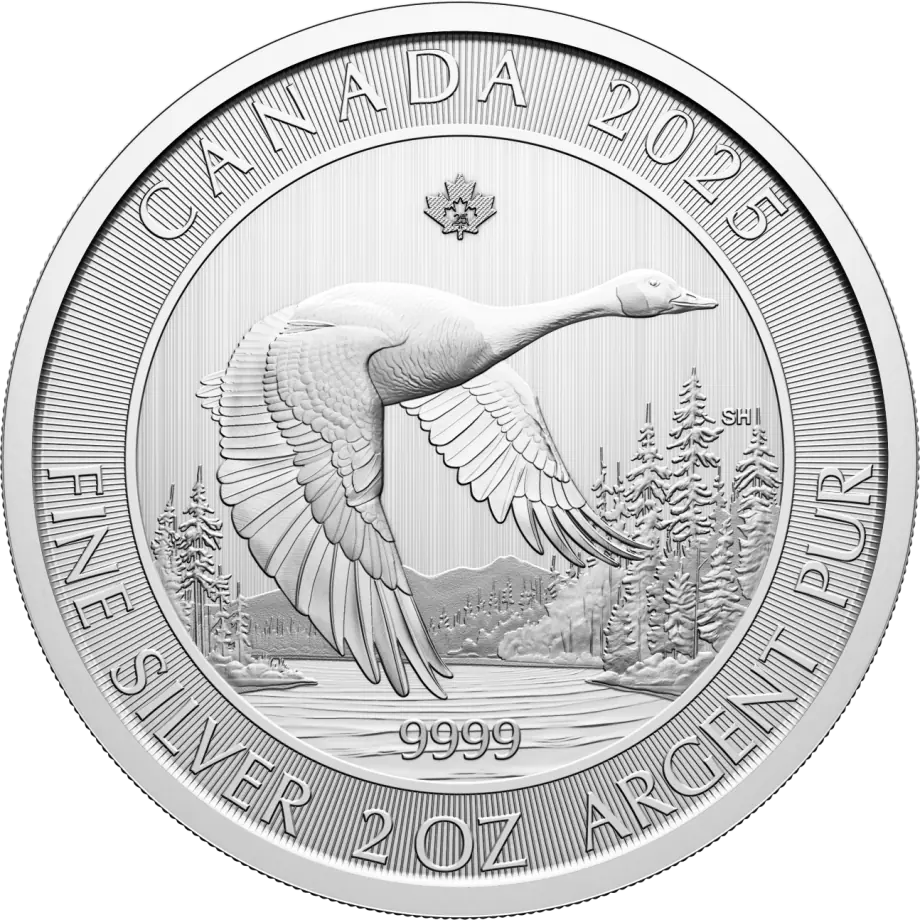 2025 Royal Canadian Mint 2oz Silver Goose Bullion Coin
