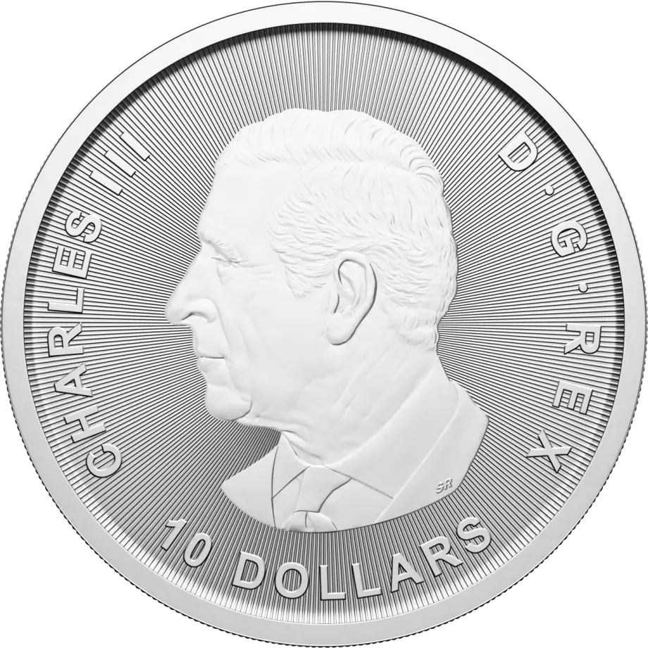 2025 Royal Canadian Mint 2oz Silver Goose Bullion Coin - Image 2