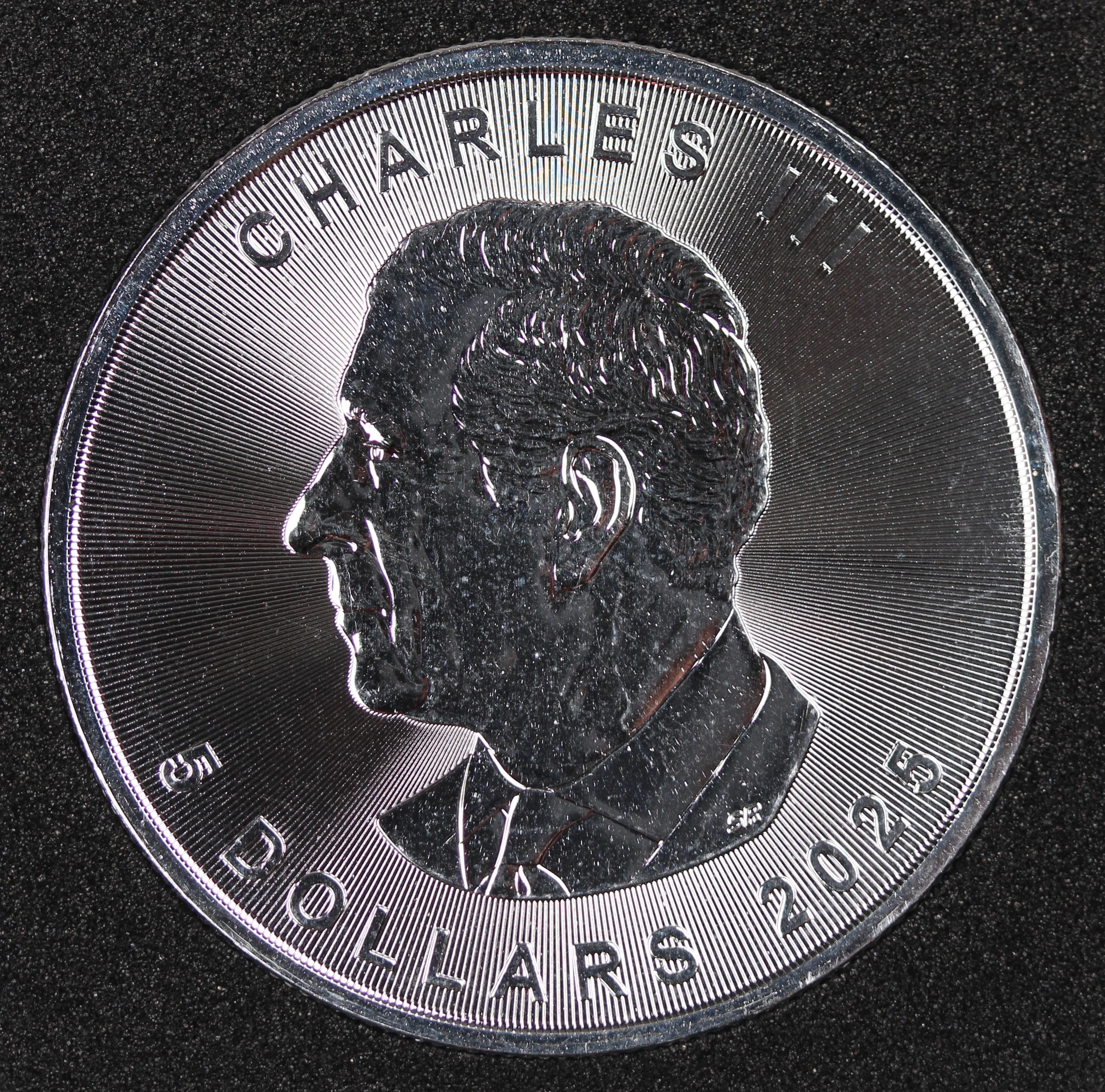 2025 The King of Emberfall 1oz Silver Coin - Image 4