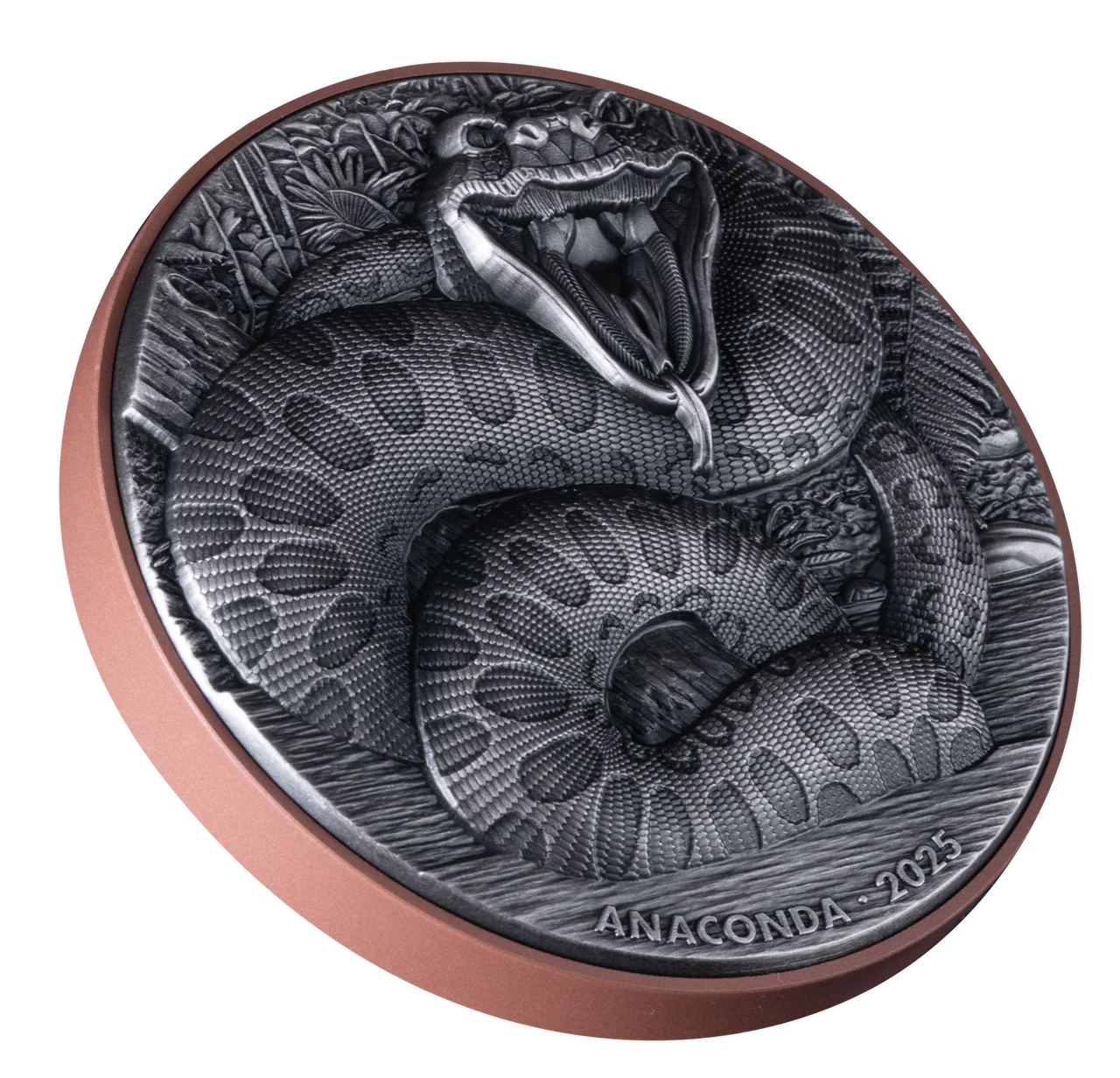 2025 Vanuatu Double Silver Giant Anaconda 10g Silver Coin - Image 3