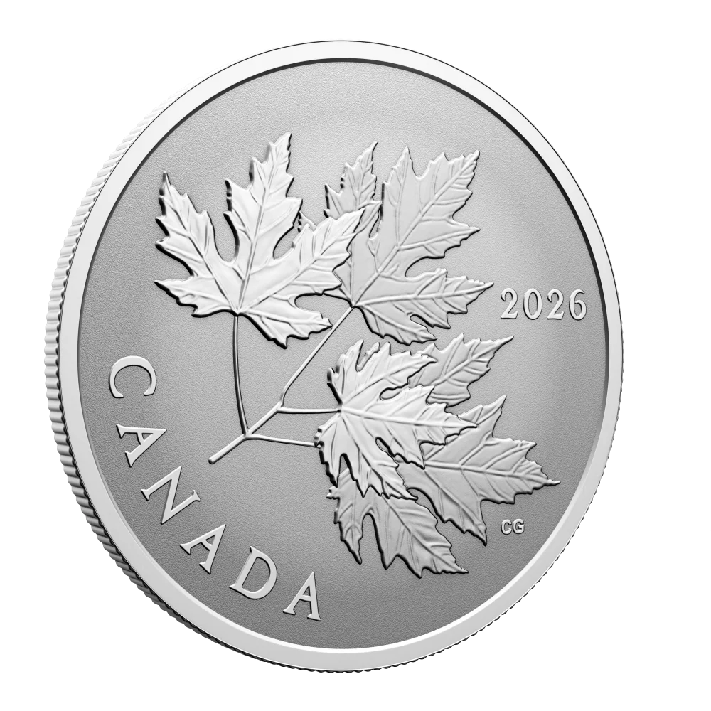 2026 Canada $10 Fine Silver Coin - Gleaming Maple Leaves - Image 2