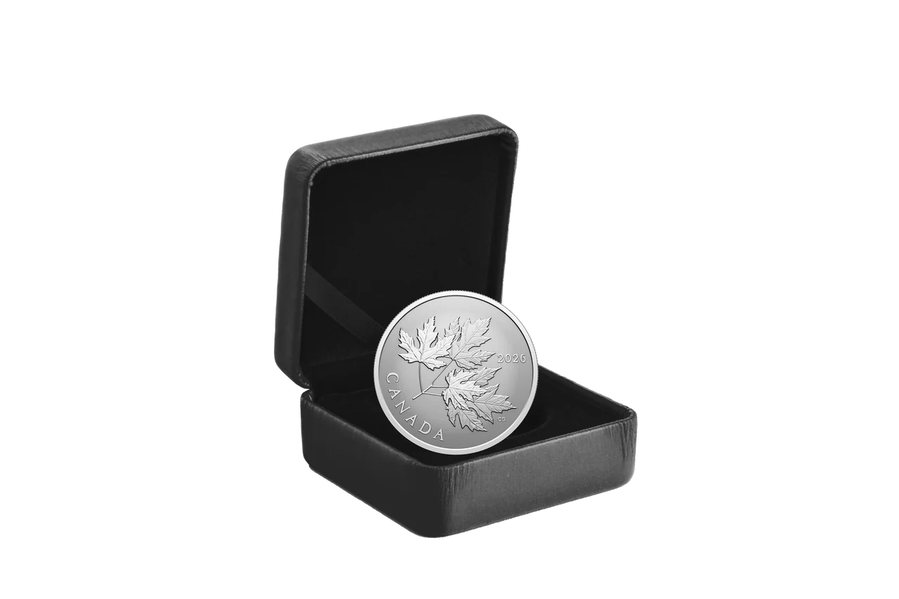 2026 Canada $10 Fine Silver Coin - Gleaming Maple Leaves - Image 5