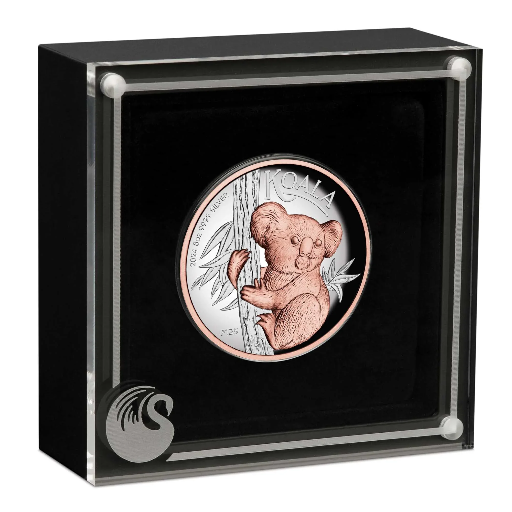 Australian Koala 2024 5oz Silver Proof High Relief Gilded Coin - Image 3