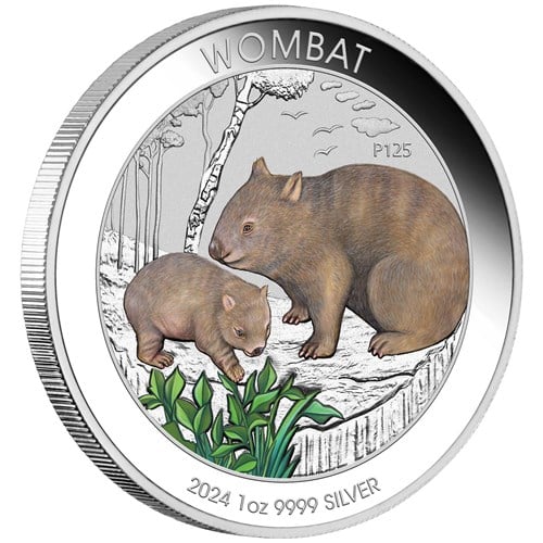 Australian Wombat 2024 1oz Silver Coloured Coin in Card - Image 2