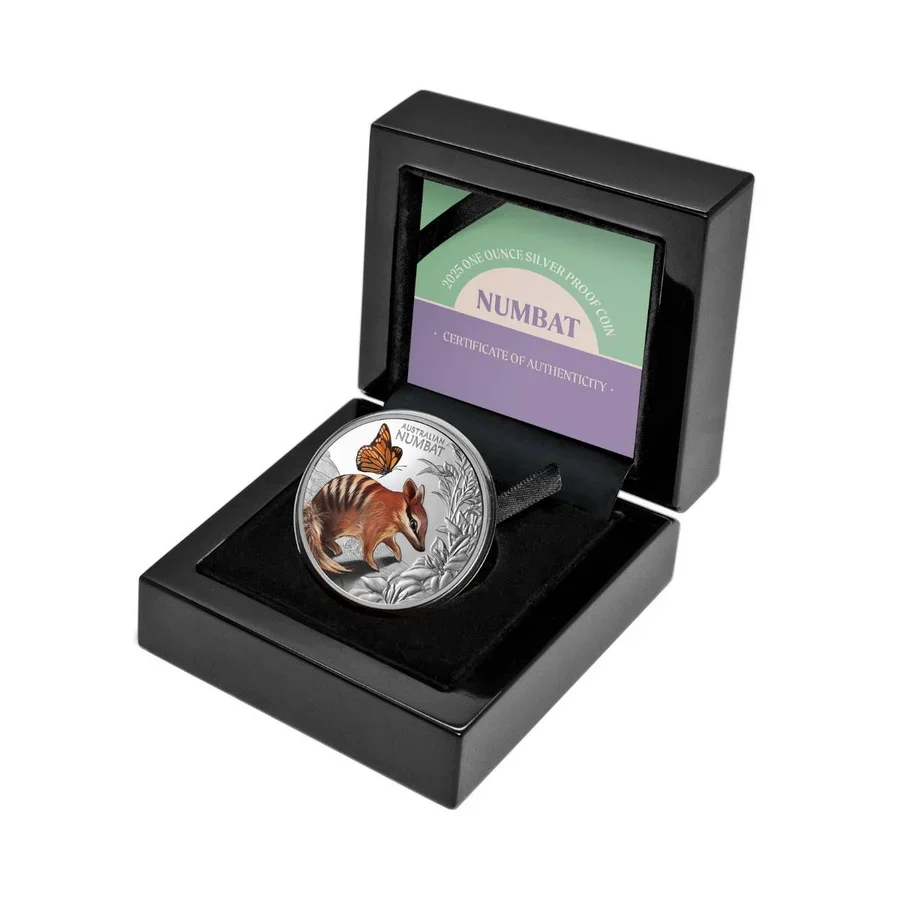Baby Numbat 2025 $1 1oz Silver Proof Coin - Image 3