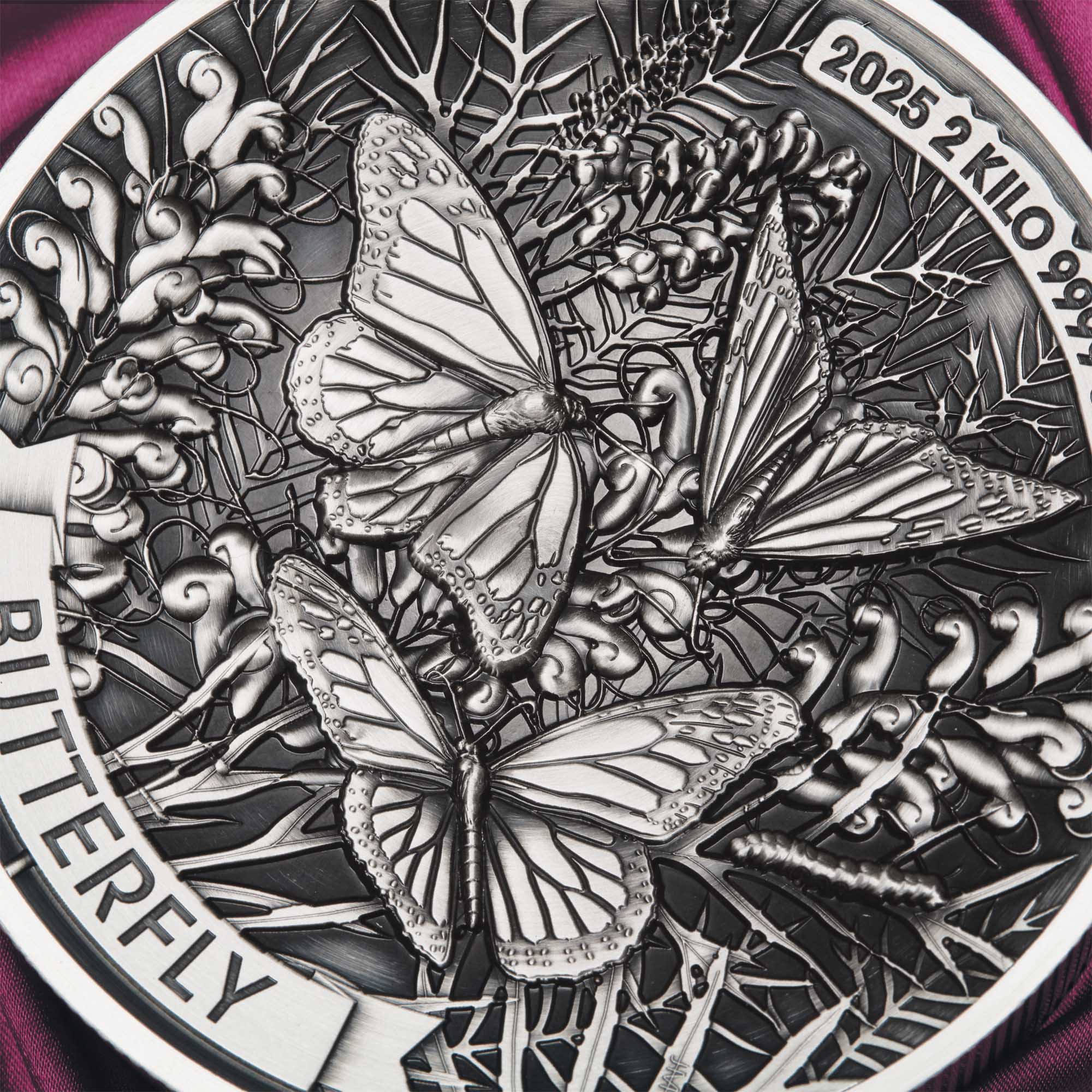 Butterfly 2025 2 Kilo Silver High Relief Antiqued Coin - Image 8