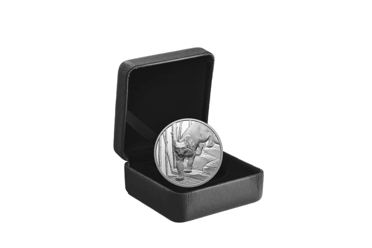 Canada 2024 $20 Ultra-High Relief Fine Silver Coin - Great Hunters: Cougar - Image 2