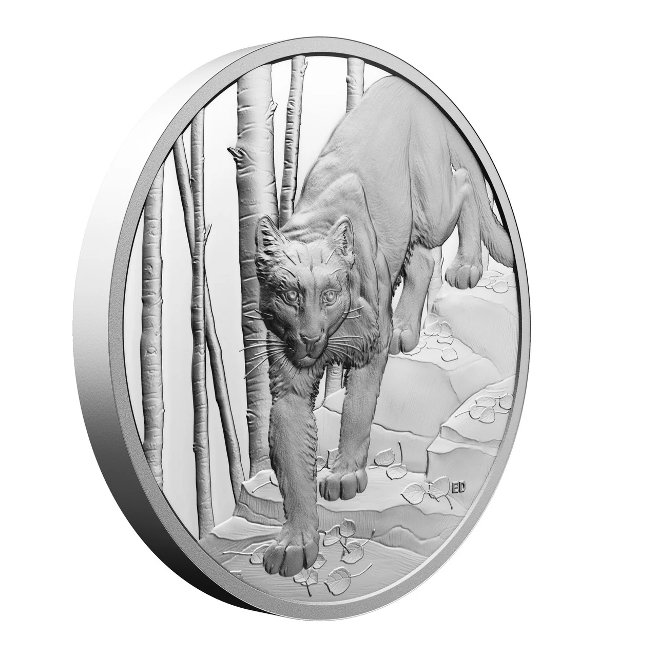 Canada 2024 $20 Ultra-High Relief Fine Silver Coin - Great Hunters: Cougar - Image 3