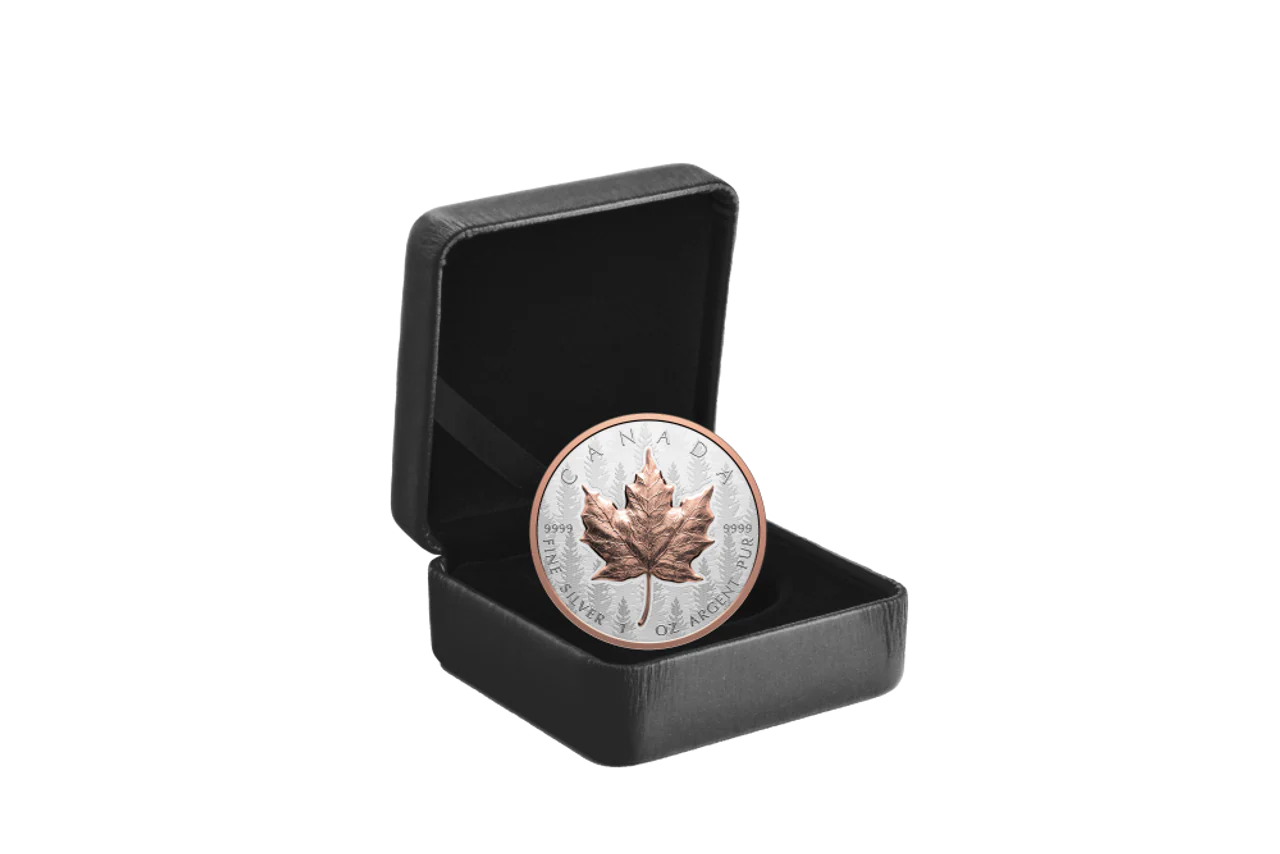 Canada 2025 $20 Maple Leaf Ultra High Relief 1oz Silver Coin - Image 3