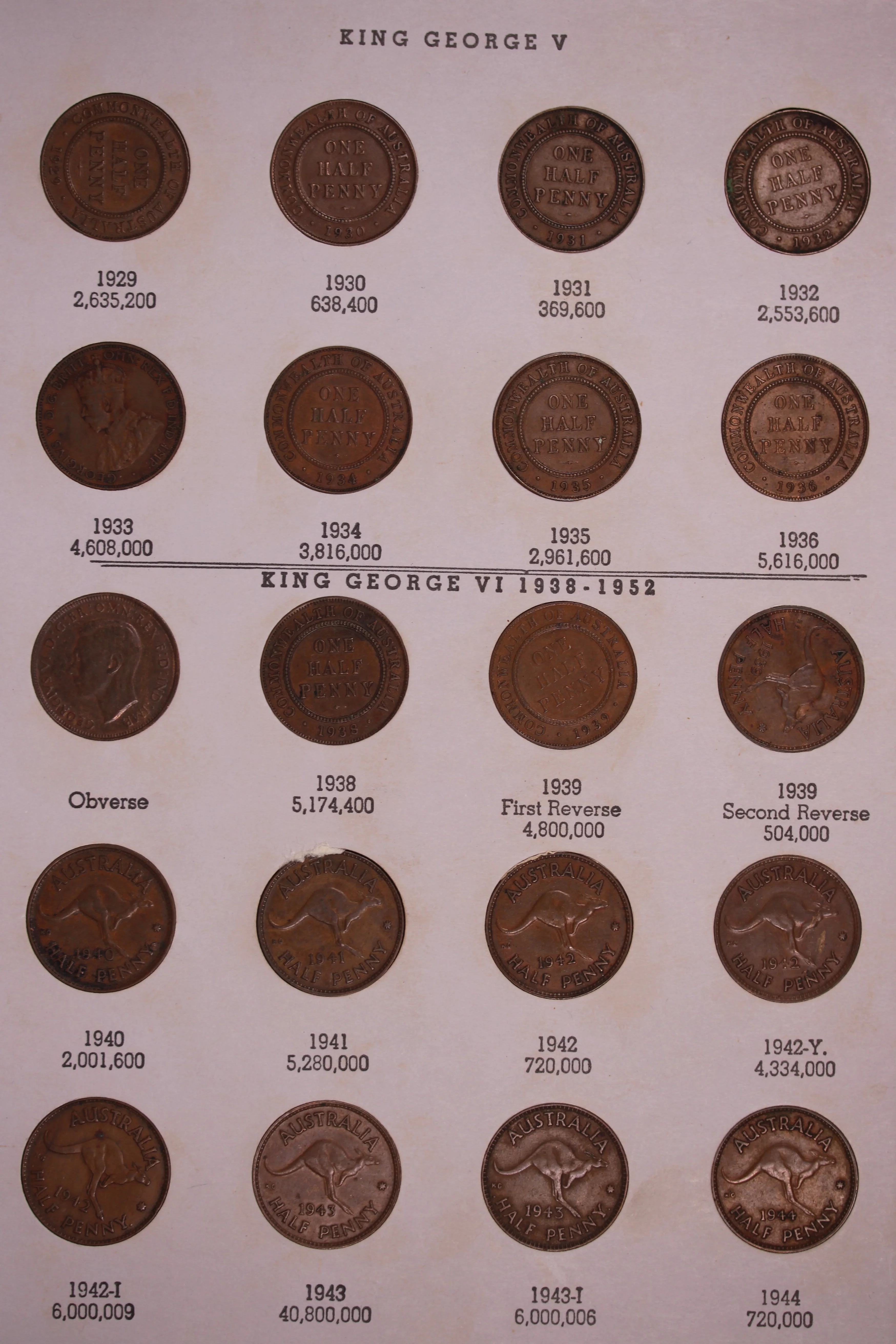 Complete Halfpenny Collection including 1923 (aVF) - Image 3