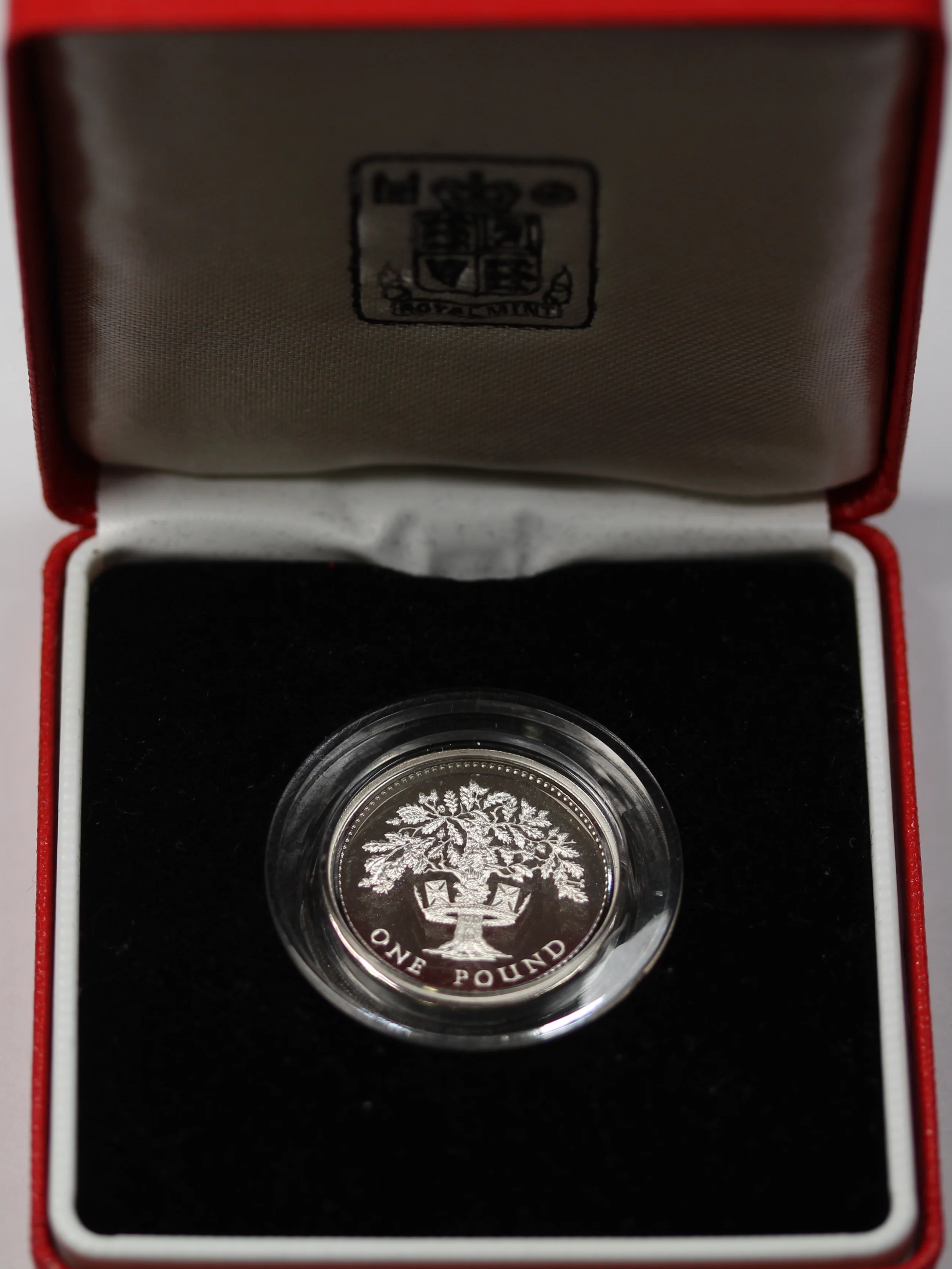 GB 1987 One Pound Piedfort Silver Coin - Image 3