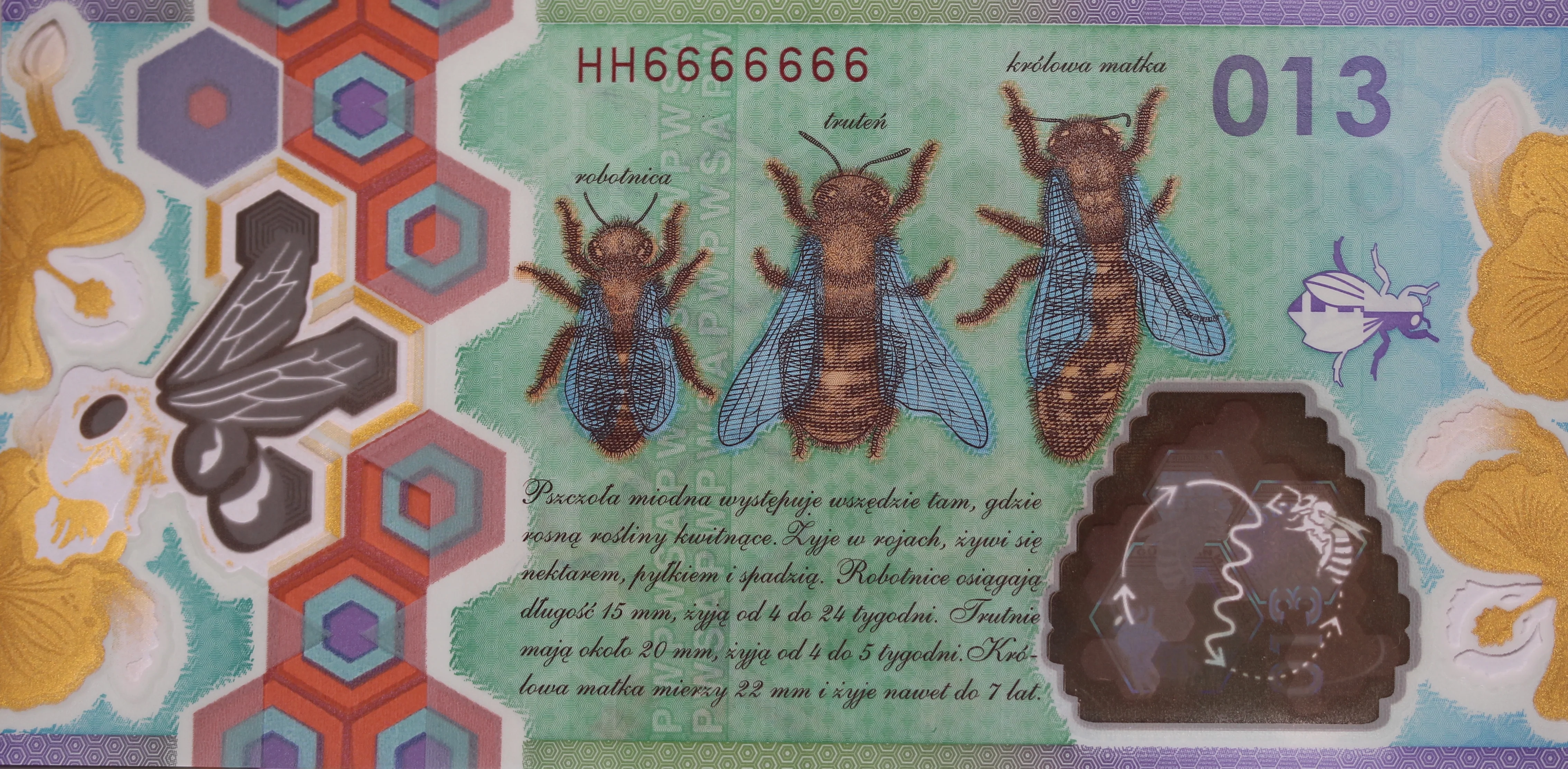 Guardian Poland Bee Hive Polymer Test Banknote Pair in Folder - Image 2